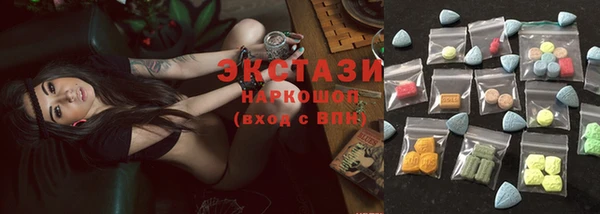 твердый Богданович